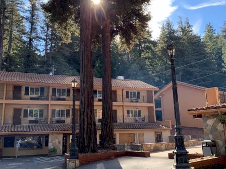 A building surrounded by tall trees with sunlight filtering through, two lampposts, and a clear sky in the background.